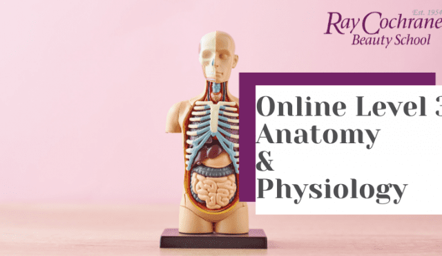 Introducing VTCT anatomy and physiology online course