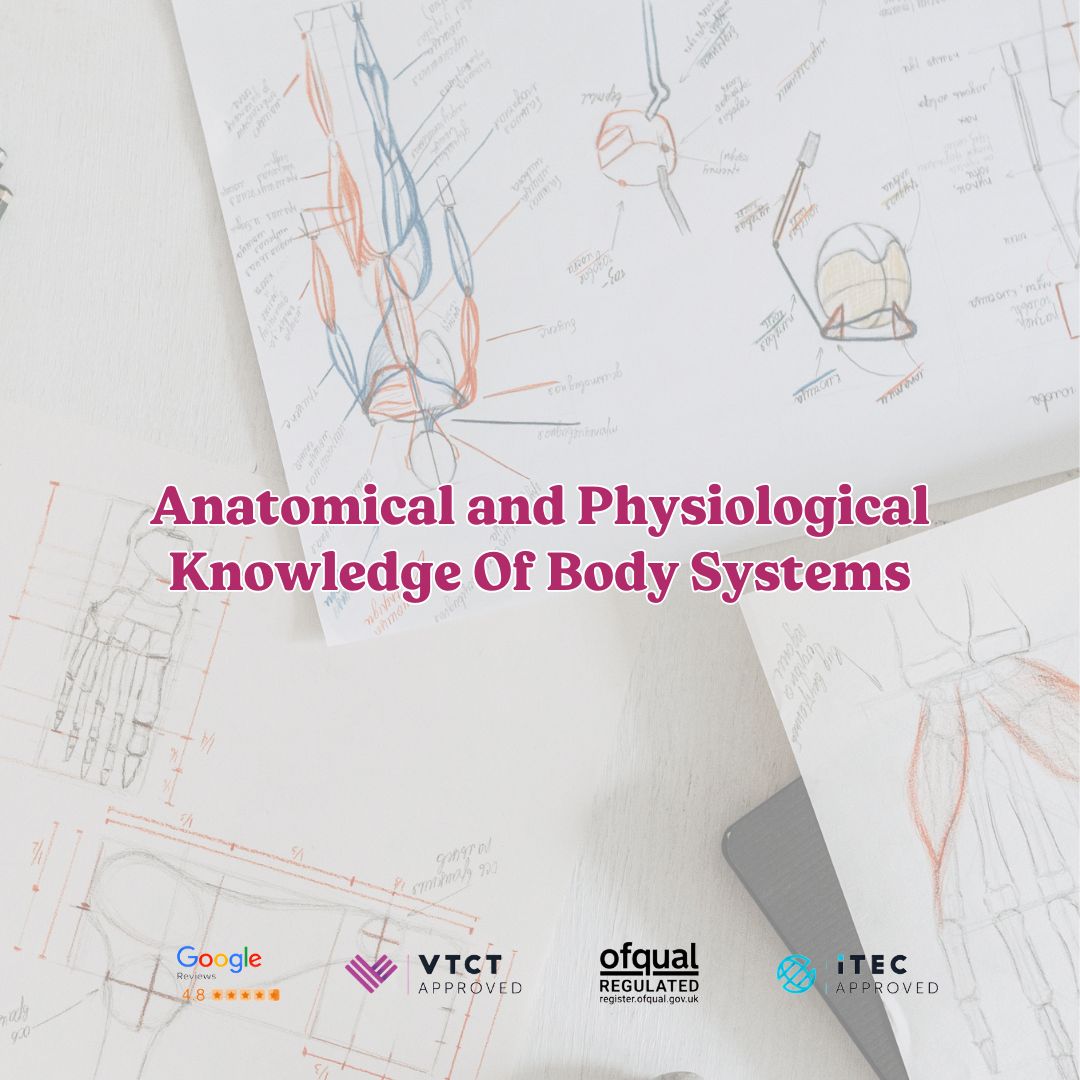 Anatomical and Physiological Knowledge Of Body Systems